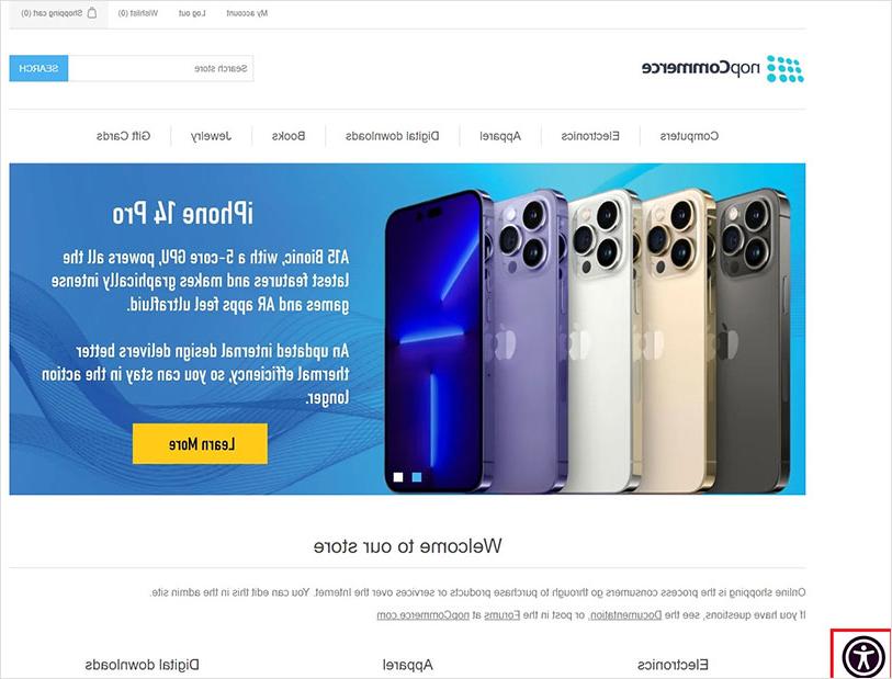 ada accessible nopcommerce website