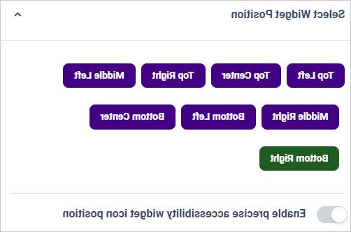 网站辅助功能小部件图标