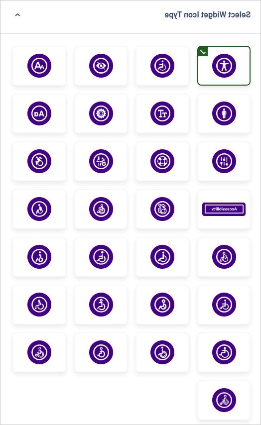 网站可访问性小部件图标类型